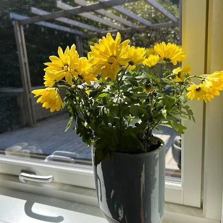 En Perle Ved Holiday home Masfjorden