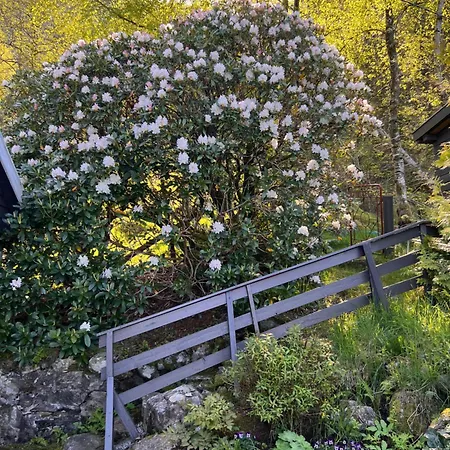 Holiday home En Perle Ved Masfjorden